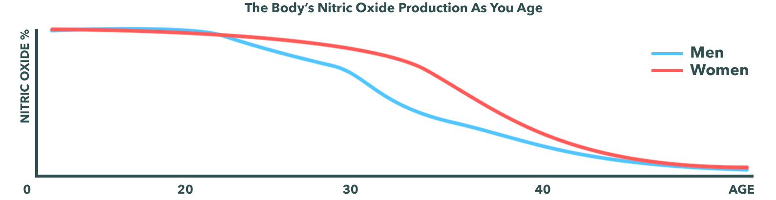 nitric oxide production